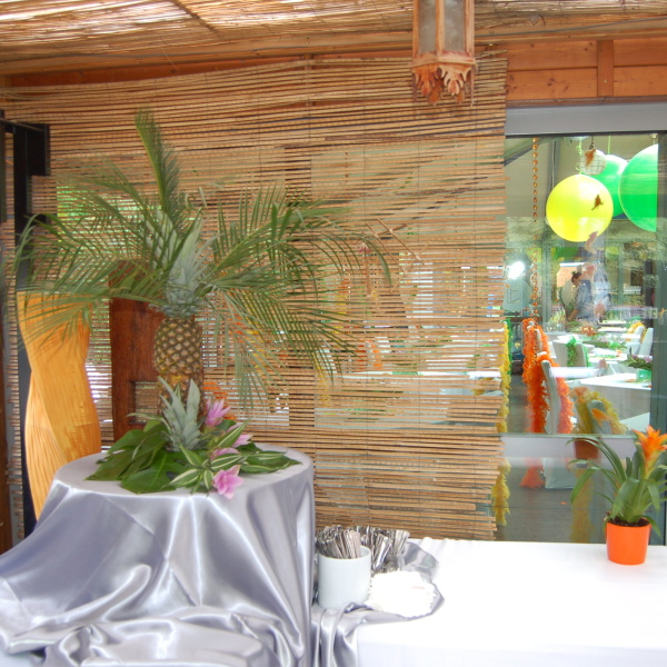 Exotika na party