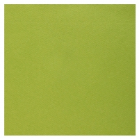 Ubrousky Rainbow Kiwi 40 x 40 cm 20 ks